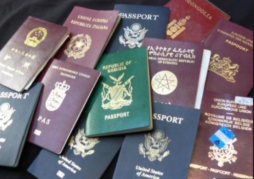 Saudi: 83% of second citizenship applicants are expat families