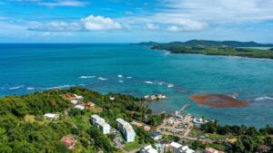 Dominica Citizenship by Investment with Nature Island rainforest and Caribbean passport planning
