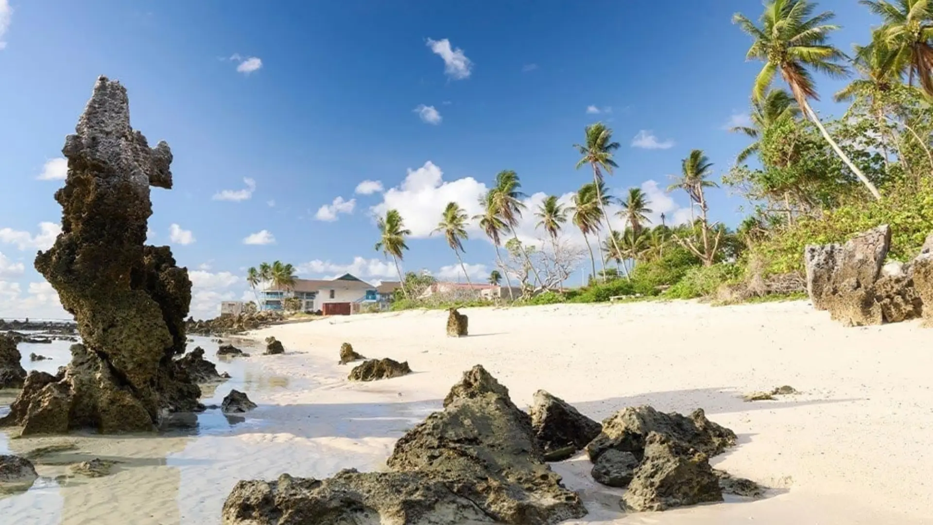 Nauru Citizenship by Investment: 2026 Update 1 Sunny tropical beach in Nauru featuring jagged limestone pinnacle rocks, white sand, and palm trees under a blue sky.